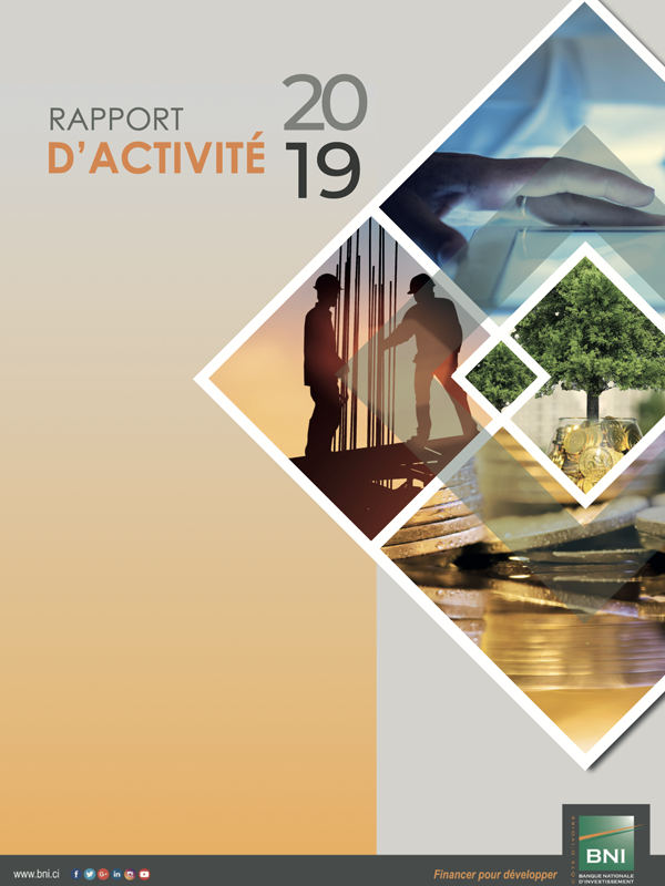 RAPPORT ANNUEL 2019