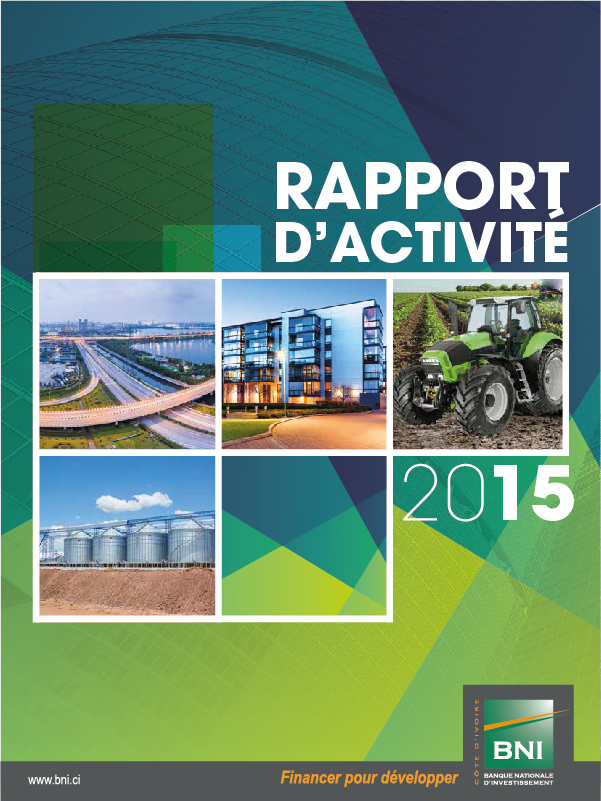 RAPPORT ANNUEL 2015