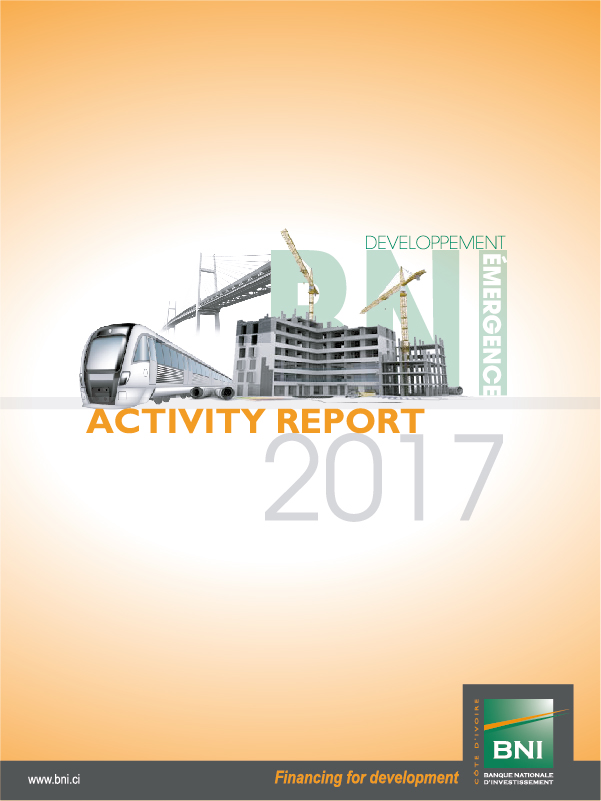 ACTIVITY REPORT 2017