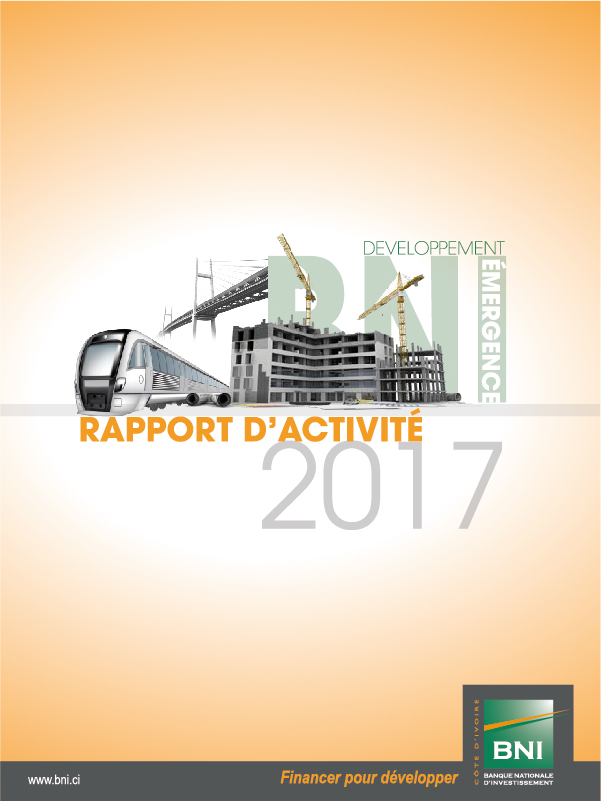 RAPPORT ANNUEL 2017